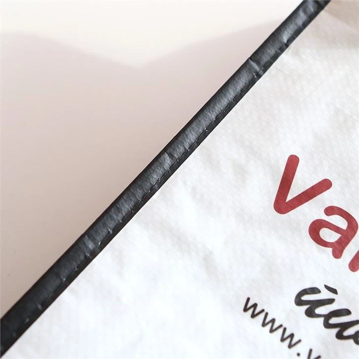 Laminated Pp Woven Cooler Bag